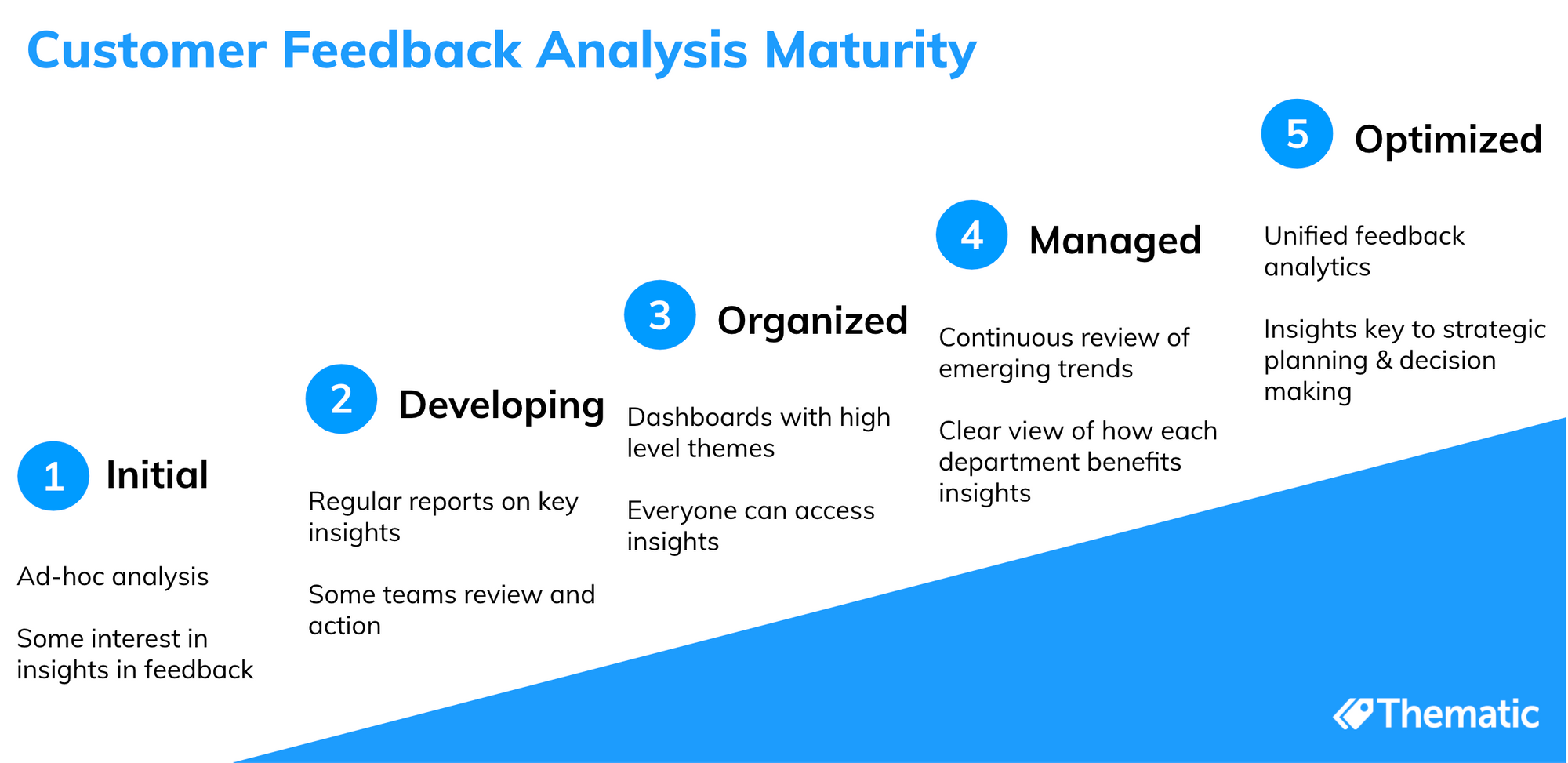 Our draft outline of a customer feedback analysis maturity model