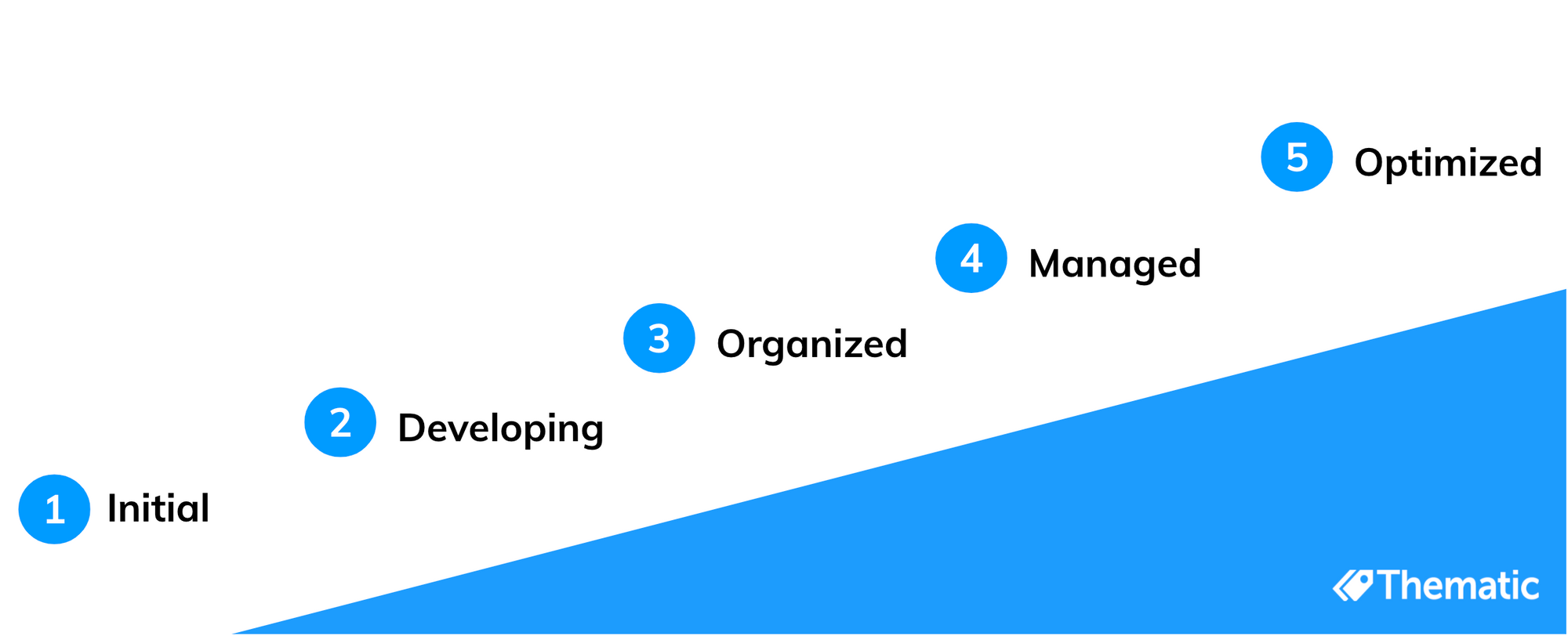 5 stages of the customer feedback analysis maturity model