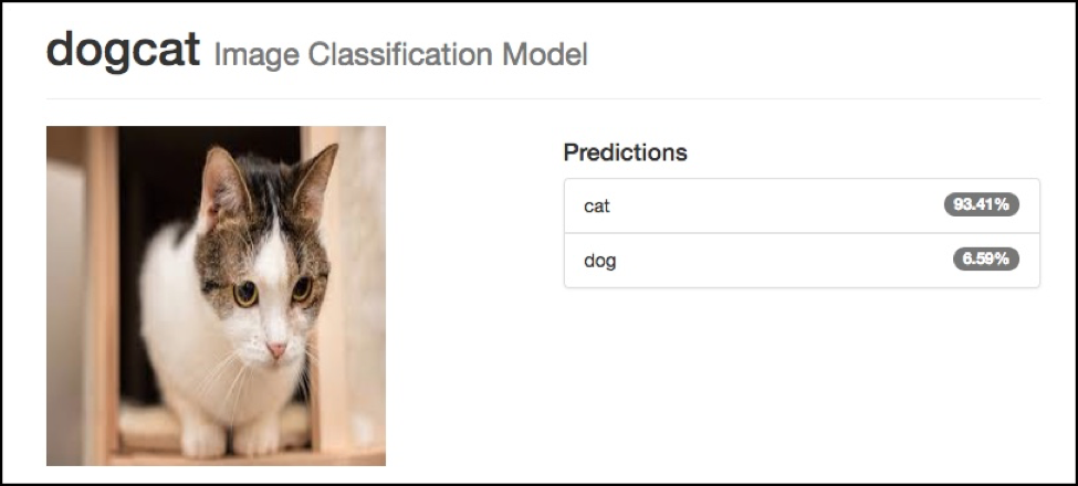 Screenshot from the dogcat image classification model