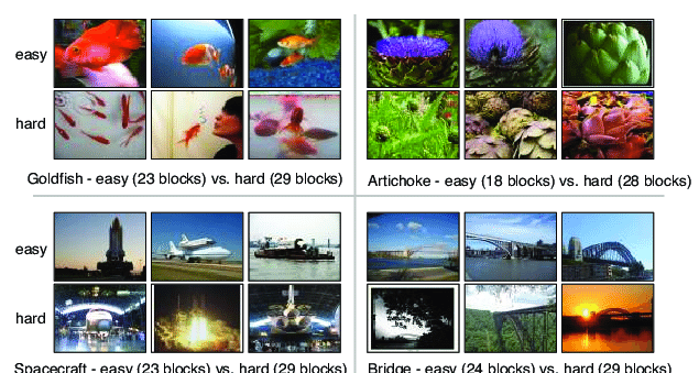 Dataset examples from ImageNet